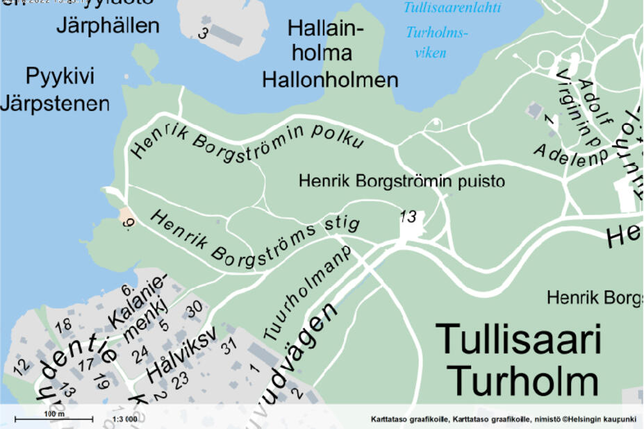 Karttakuva Tullisaaresta